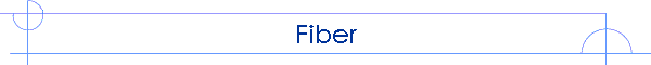 Fiber